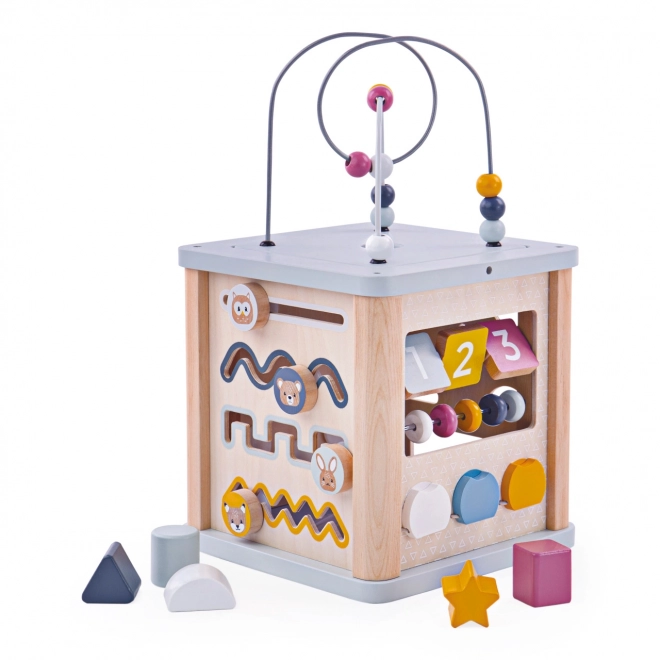 Bigjigs Baby Motorik aktivitets terning