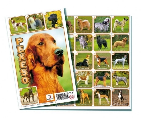 Pexeso Hunde selskabsspil