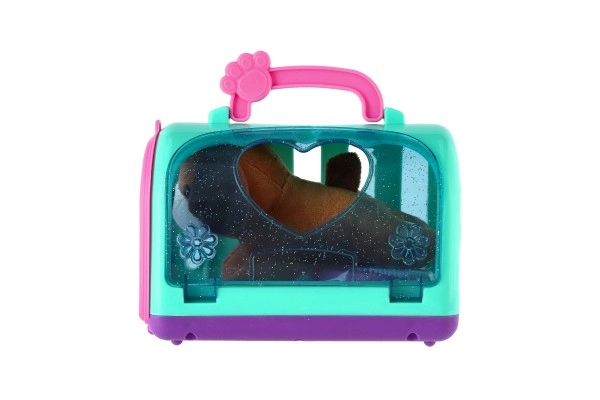 Nem transport