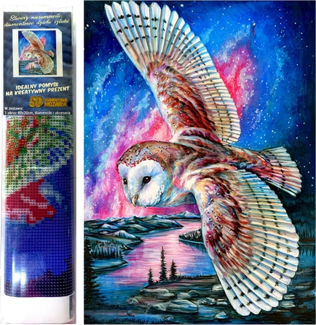 Norimpex Diamantmaleri Uglevandring 30x40cm