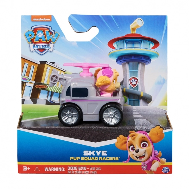 Legetøj Køretøj Paw Patrol Pup Squad