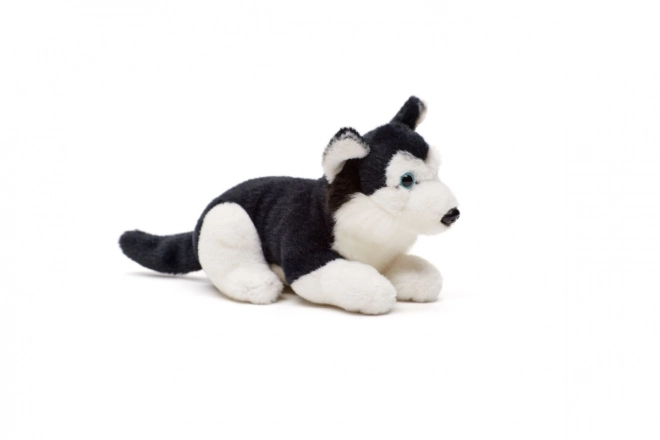 Plys husky 15 cm