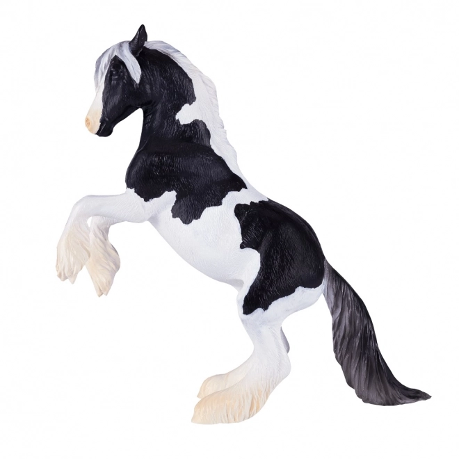 Mojo Hingst Gypsy Vanner