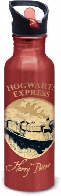 Aluminiumsflaske Harry Potter - Gylden Magi