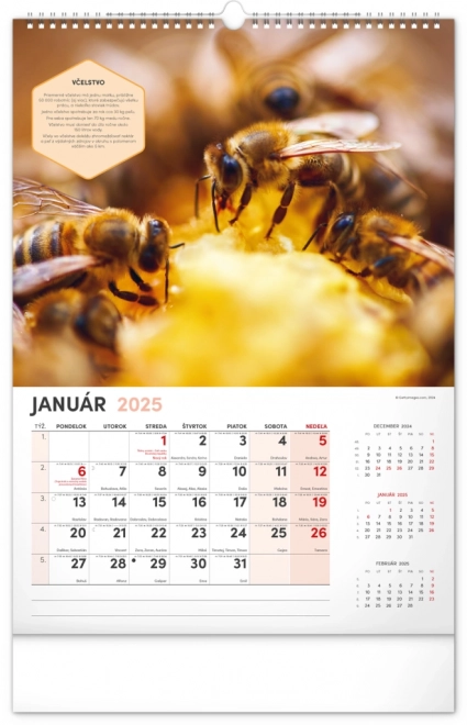 NOTIQUE Vægkalender for Biavl 2025, 33 x 46 cm