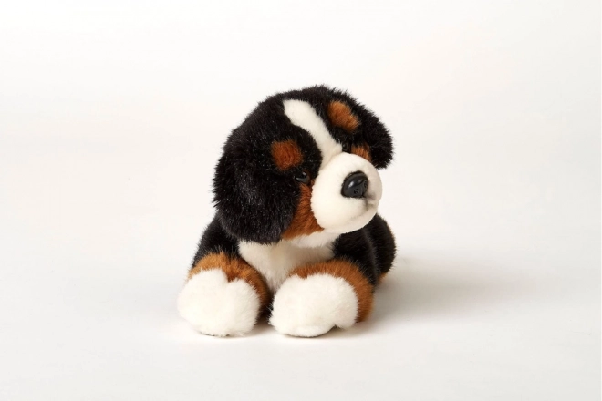 Plys Berner sennenhund 25 cm