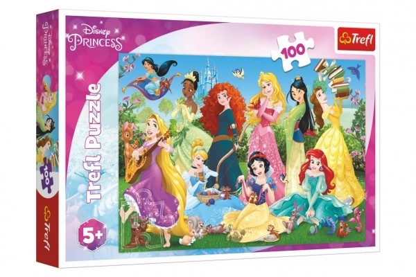 Puslespil Charmerende prinsesser/Disney 100 stykker 41x27,5 cm i kassen 29x19x4 cm