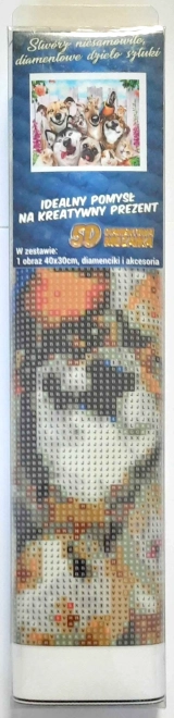 NORIMPEX Diamant maling Skøre selfie 30x40cm