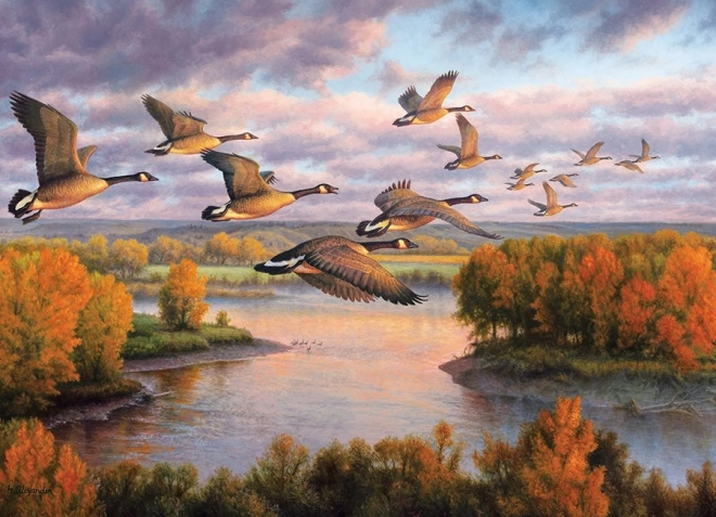 Puslespil Migration COBBLE HILL 1000 brikker