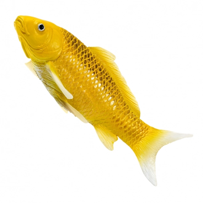 Mojo karpe koi Matsuba