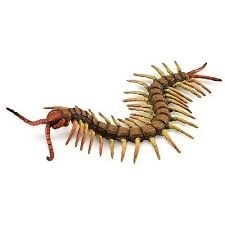 COLLECTA Tusindben