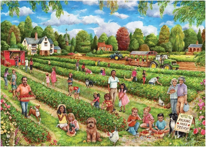Puzzle Jordbærsamling 1000 brikker