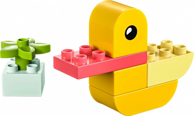 DUPLO Min første lille and 4 i 1