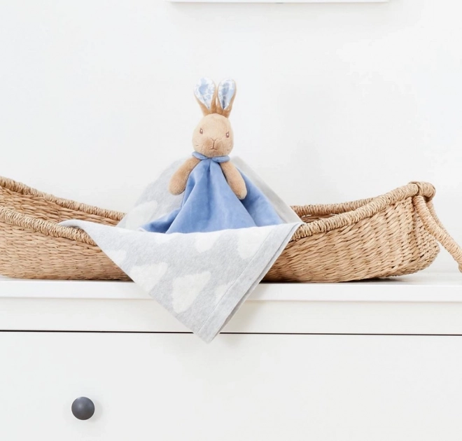 Plysbamse kanin