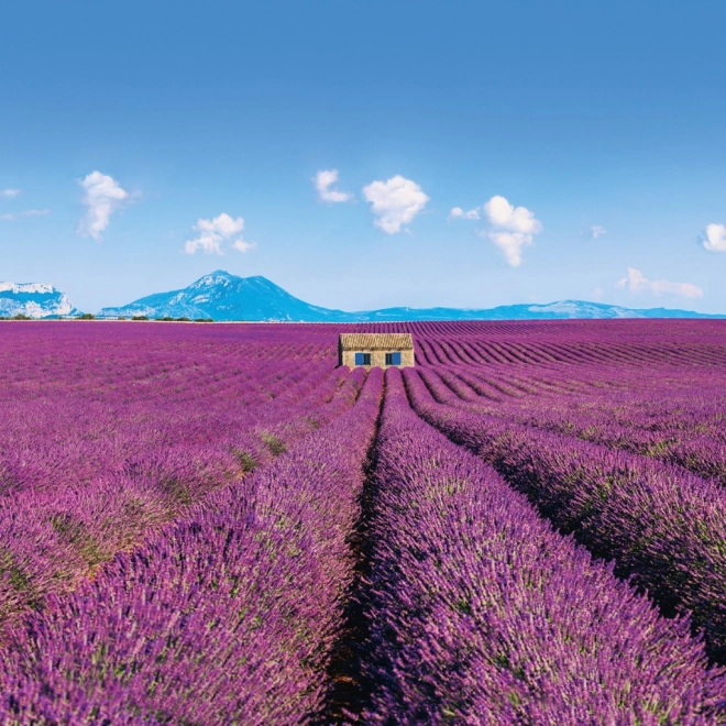 Note kalender Provence 2026