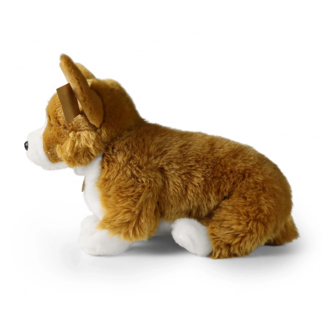 Plys corgi hund 32 cm fra miljøvenlige materialer