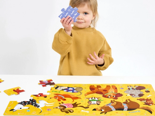CzuCzu Puzzle Hau Piesci, 40 stk