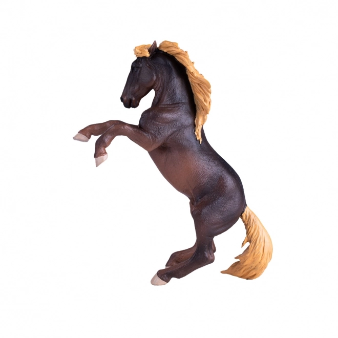 Mojo Hingst Brumby