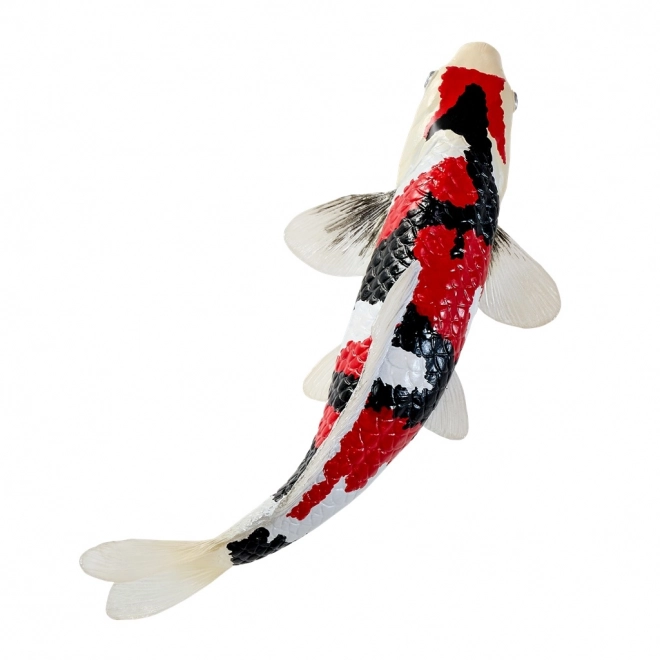 Mojo karpe koi showa sanshoku