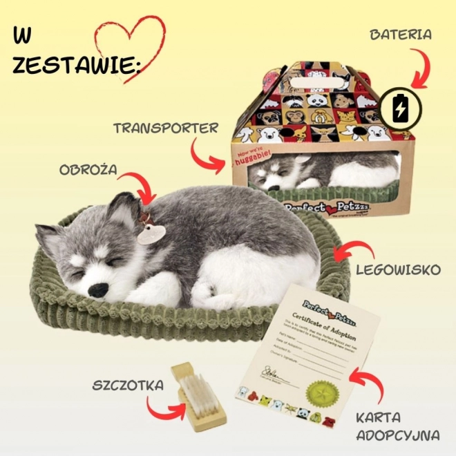 Betagende Alaska Husky bamse