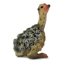Siddende Strudsekylling Collecta