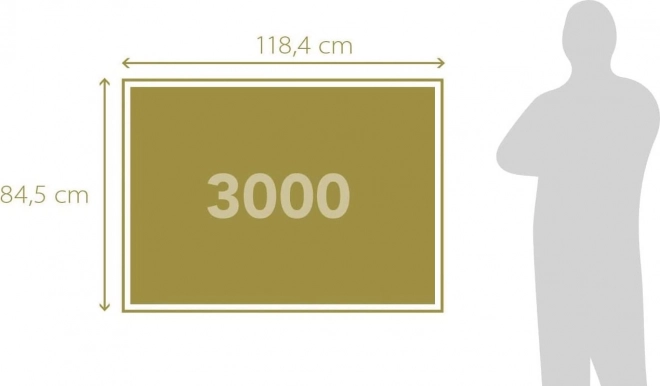 Puzzle Historiens af Paris 3000 brikker