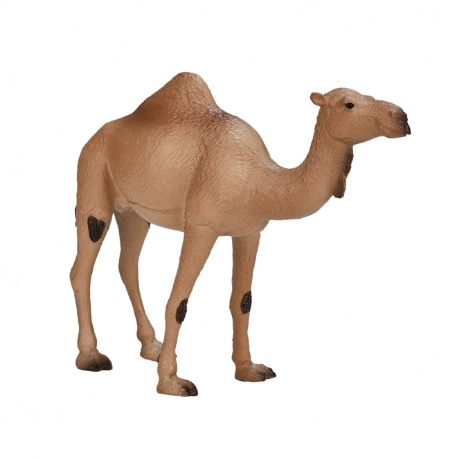 Mojo Animal Planet Én-puklet Kamel