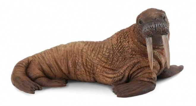 Isbjørn