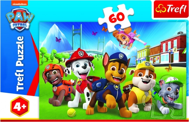 Populært PAW PATROL-motiv