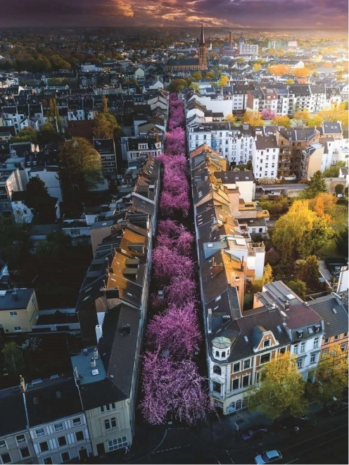 Ravensburger puslespil 1500 brikker Bonn, Tyskland