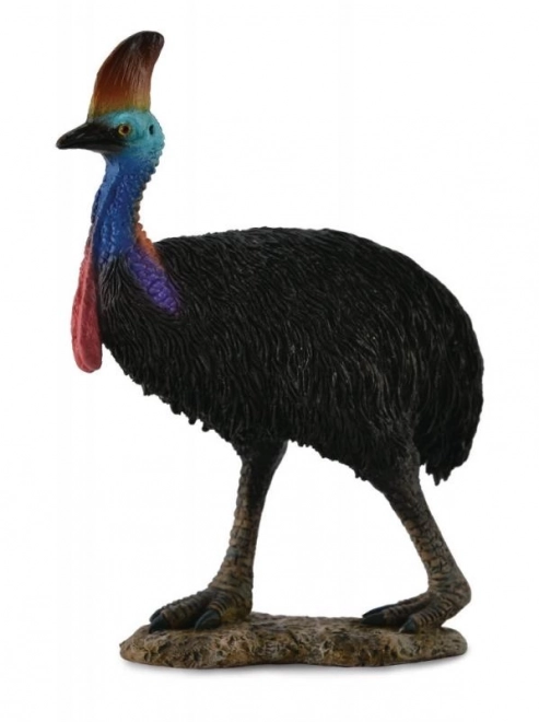 Kasuar