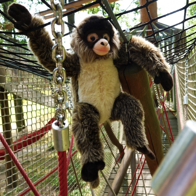 Plys chimpanse 30 cm ECO-VENLIG