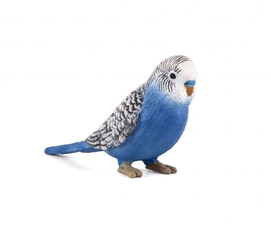 Mojo Budgie blå