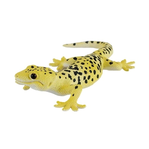 Mojo Leopardgekko