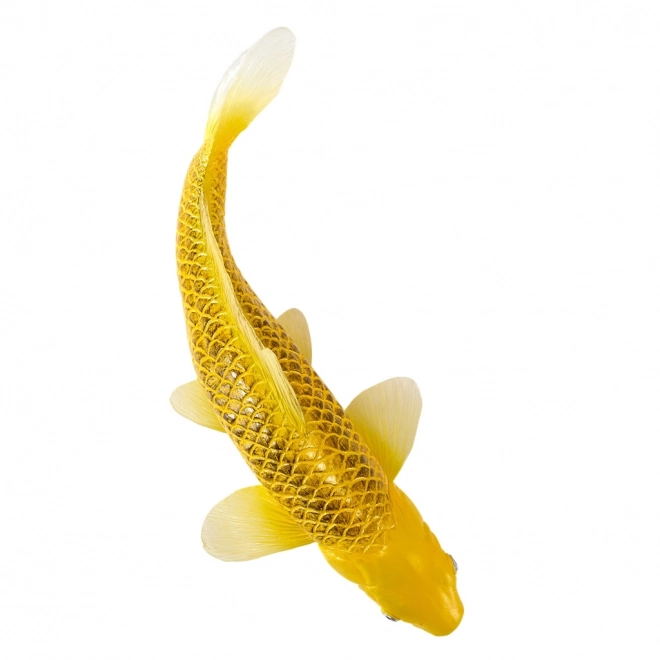 Mojo karpe koi Matsuba