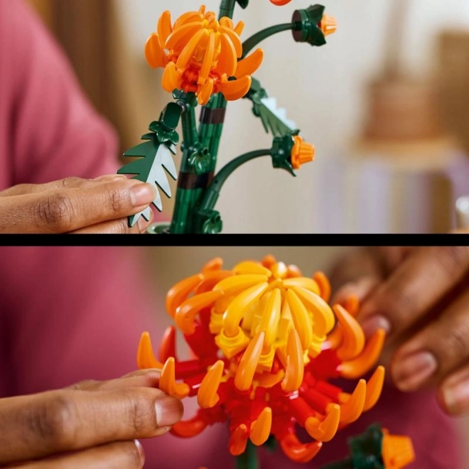 LEGO Ikoner 10368 Krysantemum