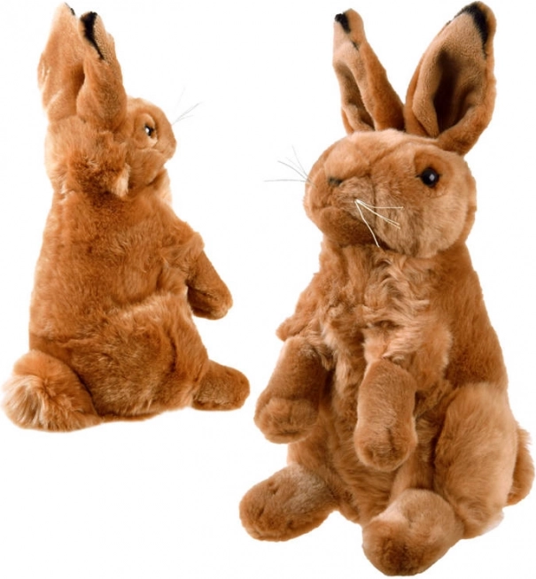 Plysbamse Kanin Hare