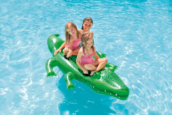 Vandkf8retf8j Alligator
