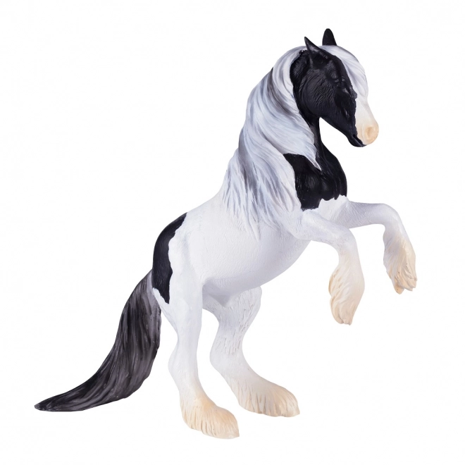 Mojo Hingst Gypsy Vanner