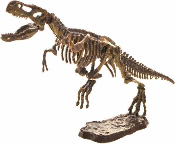 Sammenbygget 3D‑skelet af T‑Rex