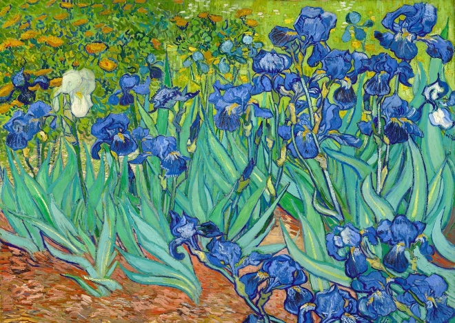 Puslespil Irisser af Vincent van Gogh 1000 brikker