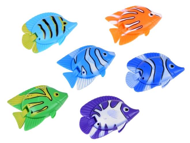 6 farvestrålende fisk