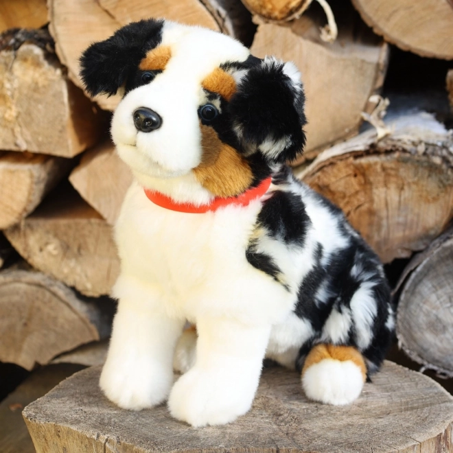 Plys hund australsk hyrdehund 30 cm MILJØVENLIG