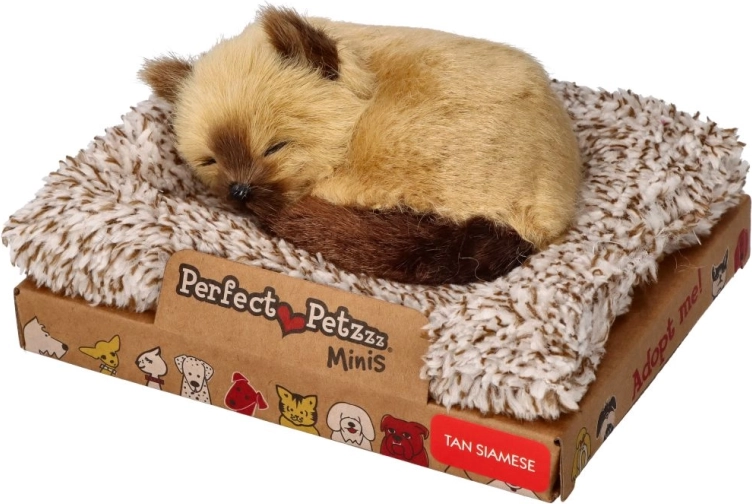 Perfect Petzzz lille siameserkilling