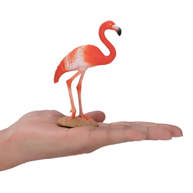 Mojo Amerikansk flamingo