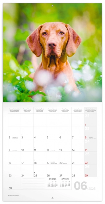Notekalender Hunde 2025, 30 × 30 cm