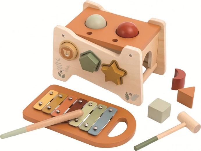 Multifunktionel banke-boks med xylofon 2Kids Toys