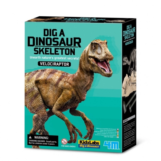 Udgravningssæt - Velociraptor