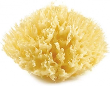 Natursvamp, Yellow