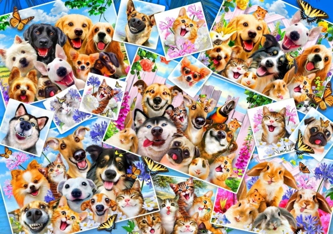 Puslespil Collage af dyre-selfies 1000 brikker